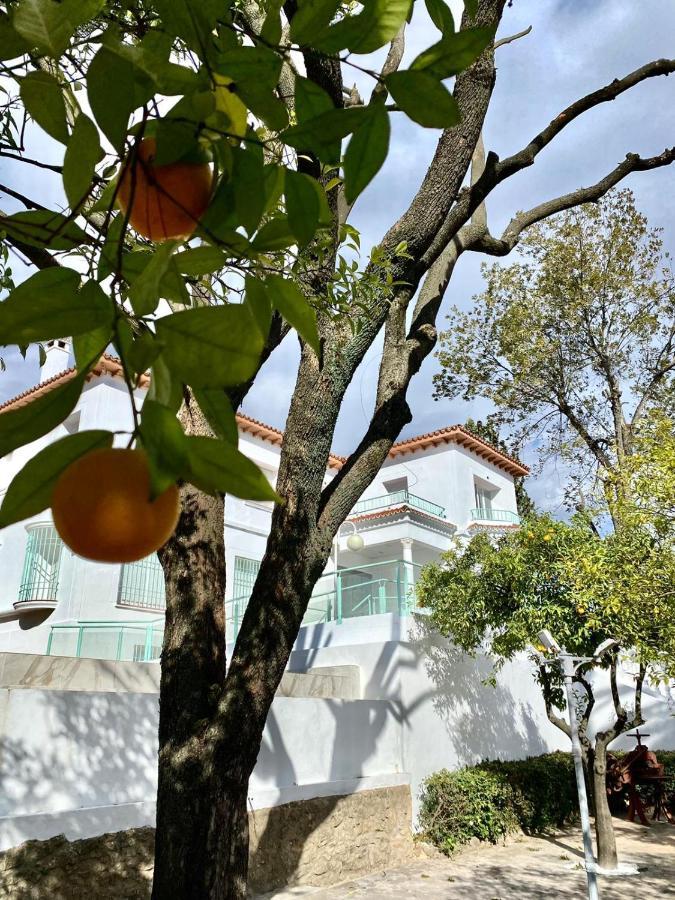 Los Almendros - Free Parking Córdoba Eksteriør billede